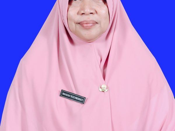 Wahdah Rochmawati, M. Pd